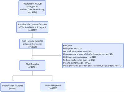 Development and validation of a prediction model for unexpected poor ovarian response during IVF/ICSI